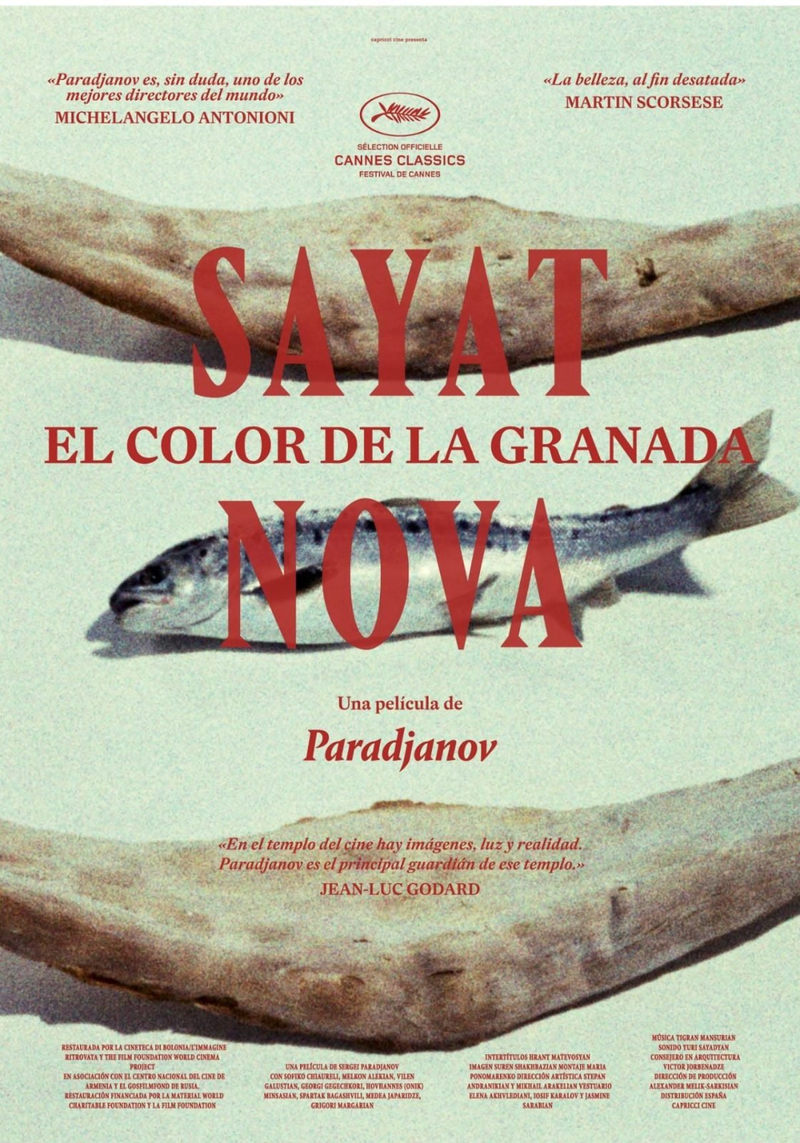 Festival Internacional de Cine de Mar del Plata    PROGRAMACIÓN