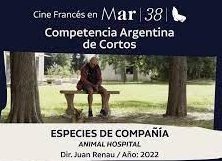 Premios Independientes                                             38° Festival de Cine de Mar del Plata