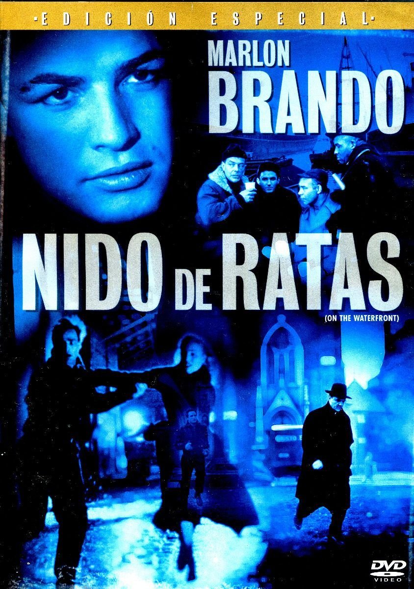 ℝ𝕖𝕔𝕠𝕣𝕕𝕒𝕞𝕠𝕤 𝕖𝕝 𝕖𝕤𝕥𝕣𝕖𝕟𝕠 𝕕𝕖       Nido de ratas