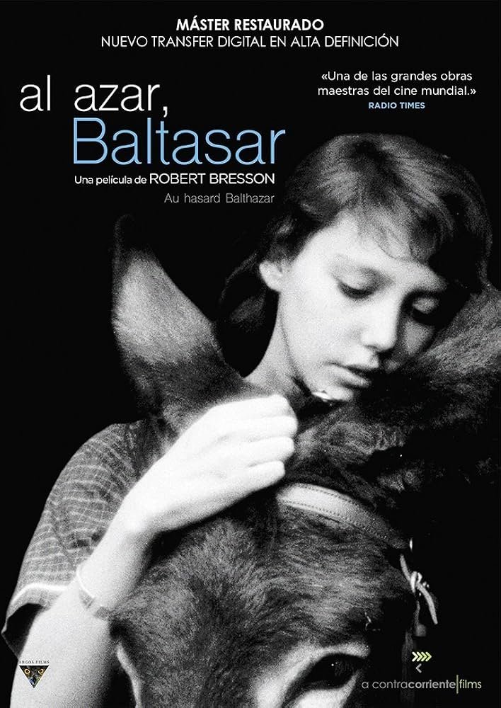 Festival Internacional de Cine de Mar del Plata    PROGRAMACIÓN