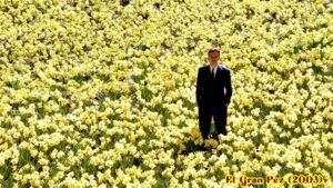 La Primavera en el Cine: Alegorías, Simbolismo y Estética Cinematográfica