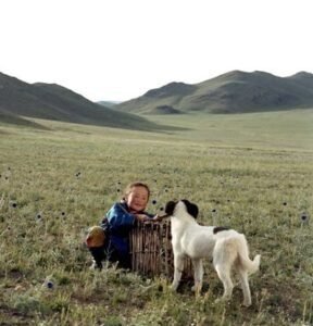 ℝ𝕖𝕔𝕠𝕣𝕕𝕒𝕞𝕠𝕤 𝕖𝕝 𝕖𝕤𝕥𝕣𝕖𝕟𝕠 𝕕𝕖       El perro mongol - La cueva del perro amarillo